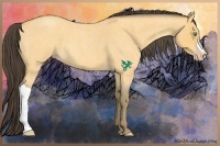 Horse Color:Amber Cream Champagne Roan 