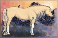 Horse Color:Palomino Dun 