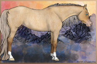 Horse Color:Gray Silver Sable Cream Champagne Roan Dun Rabicano 