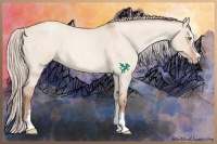 Horse Color:Silver Sable Champagne Roan Dun Sabino Rabicano 