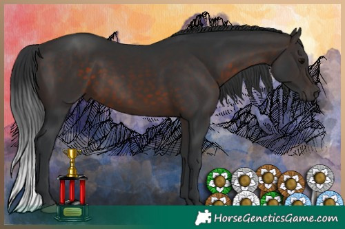 Horse Color:Brown 