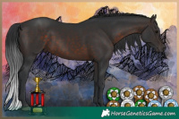 Horse Color:Brown 