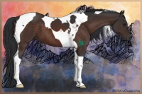 Horse Color:Brown Tobiano 