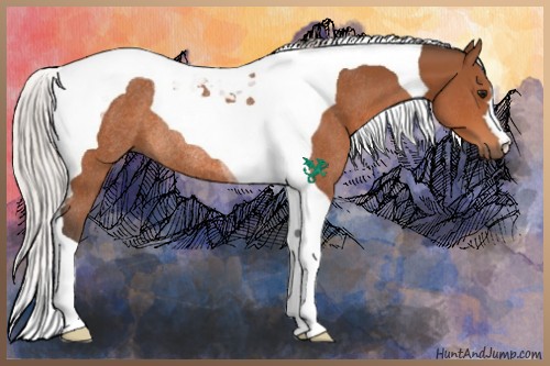 Horse Color:Silver Bay Tobiano Rabicano 