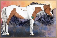 Horse Color:Silver Bay Tobiano Rabicano 