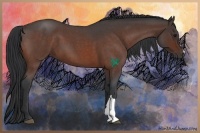 Horse Color:Bay Roan 