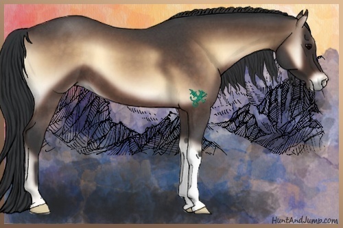 Horse Color:Bay Roan Onyx 