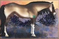 Horse Color:Bay Roan Onyx 