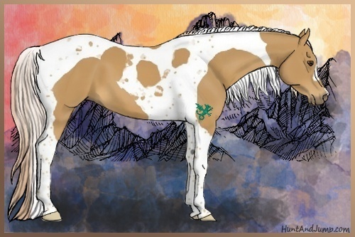 Horse Color:Palomino Tobiano 