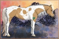 Horse Color:Palomino Tobiano 