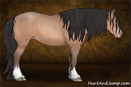 Horse Color:White Spotted Amber Champagne 