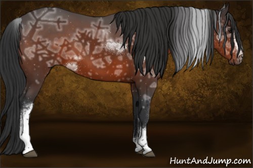 Horse Color:White Spotted Bay Ice 