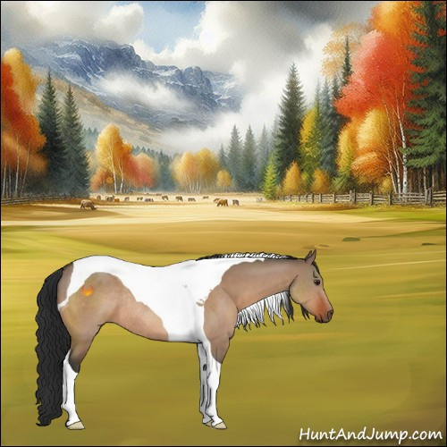 Horse Color:Brown Dun Tobiano Rabicano 