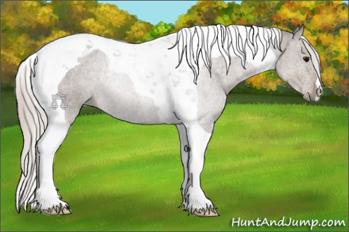 Horse Color:Silver Black Tobiano Rabicano