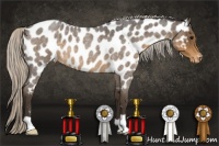 Horse Color:Silver Smoky Blue Roan Near Leopard 