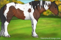 Horse Color:Brown Tobiano