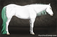 Horse Color:Watercolor White Spotted Amber Champagne Ice Sabino Appaloosa