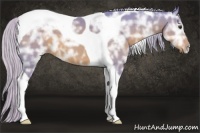 Horse Color:Watercolor Silver Brown Ice Tobiano 