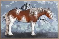 Horse Color:White Spotted Silver Brown Sabino 