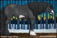 Horse Color:Blue Roan Frame Rabicano 