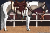 Horse Color:Blue Onyx Tobiano 