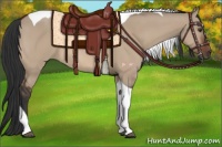 Horse Color:Brown Dun Tobiano