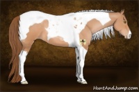 Horse Color:Brown Pearl Tobiano