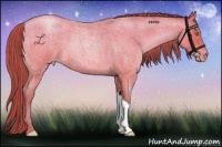 Horse Color:Bay Roan Pearl