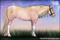 Horse Color:Chocolate Palomino Roan Pearl Dun Rabicano