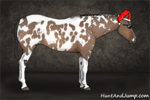 Horse Color:White Spotted Brown Dun Tobiano Appaloosa 