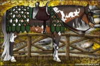 Horse Color:White Spotted Buckskin Appaloosa 