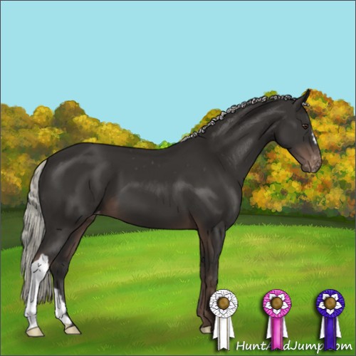 Horse Color:Liver Chestnut Mushroom Varnish