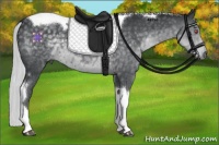 Horse Color:Silver Black Chinchilla Tobiano 