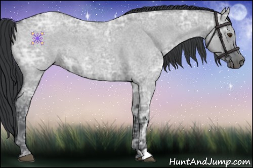 Horse Color:Grullo Chinchilla Ice Roan 