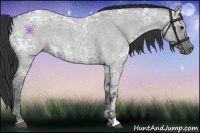 Horse Color:Grullo Chinchilla Ice Roan