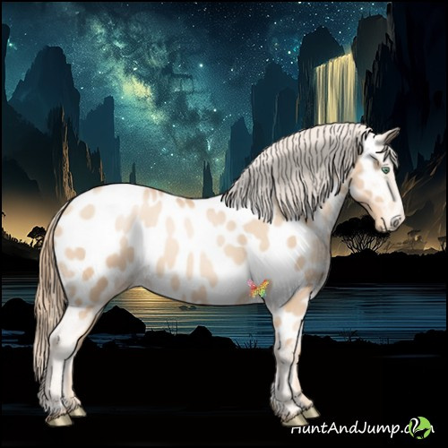 Horse Color:Gold Champagne Pearl Near Leopard 