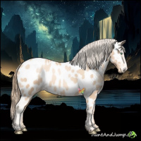 Horse Color:Gold Champagne Pearl Near Leopard