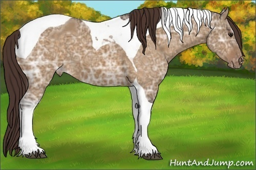 Horse Color:Buckskin Ice Dun Tobiano Varnish 