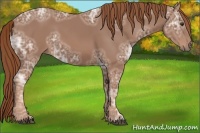 Horse Color:Chestnut Ice 