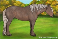 Horse Color:Silver Black