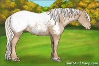 Horse Color:Silver Smoky Black Pearl Appaloosa Rabicano