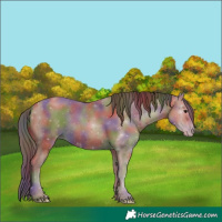 Horse Color:Nacre Classic Champagne 