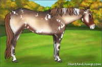 Horse Color:White Spotted Liver Red Onyx Varnish 