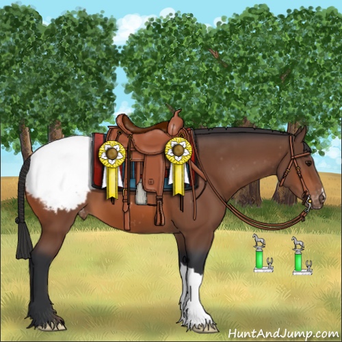 Horse Color:Bay Snowcap 