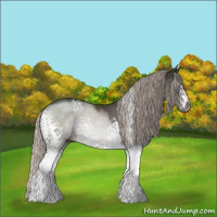 Horse Color:Gray White Spotted Silver Black Sabino 