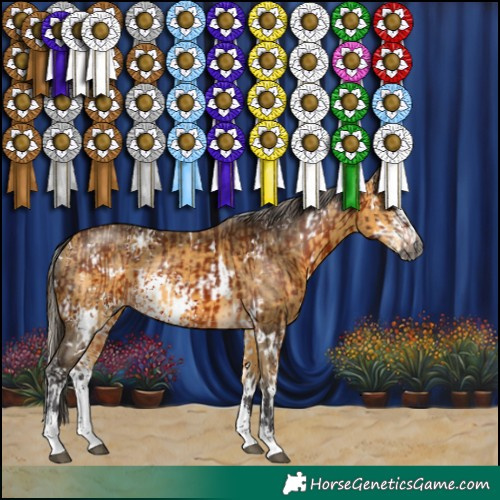 Horse Color:Gray White Spotted Silver Bay  and White Spotted Buckskin Sabino 
