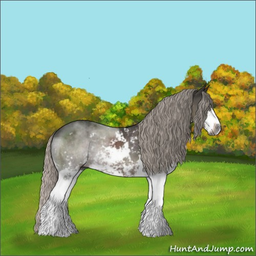 Horse Color:Gray Silver Black Sabino Rabicano