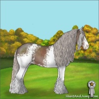 Horse Color:White Spotted Silver Black Sabino 