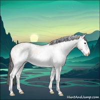Horse Color:White Spotted Brown Dun Sabino