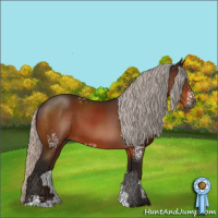 Horse Color:Gray White Spotted Silver Brown Sabino